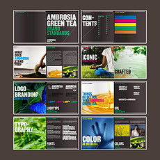 平面設(shè)計 從靈感到作品的視覺藝術(shù)之旅